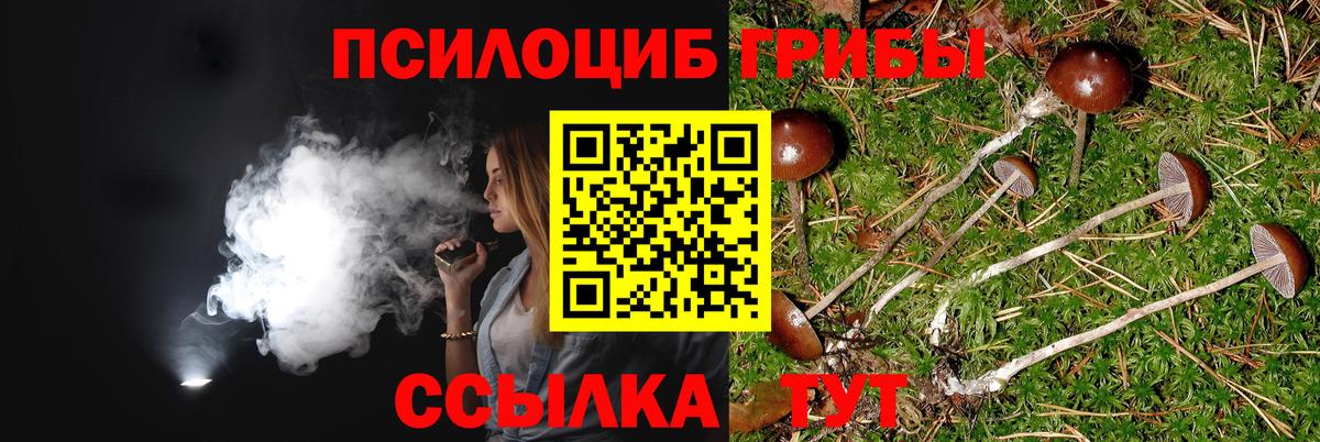Галлюциногенные грибы мухоморы  Вход с VPN  Амурск 